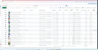 Visual of a successful Facebook ad campaign for travel services.